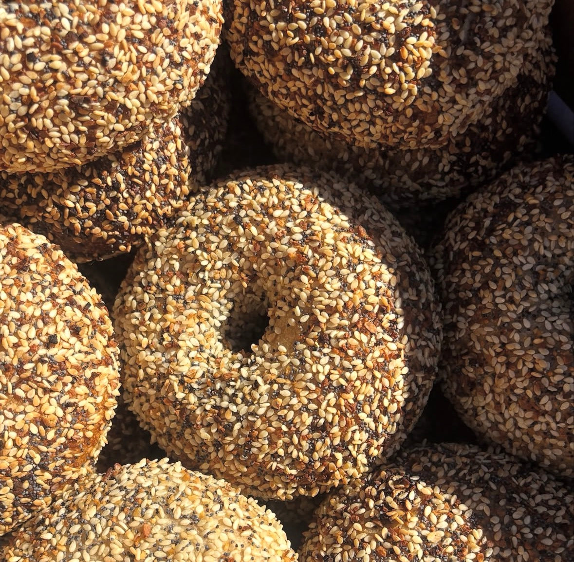 Everything Bagels
