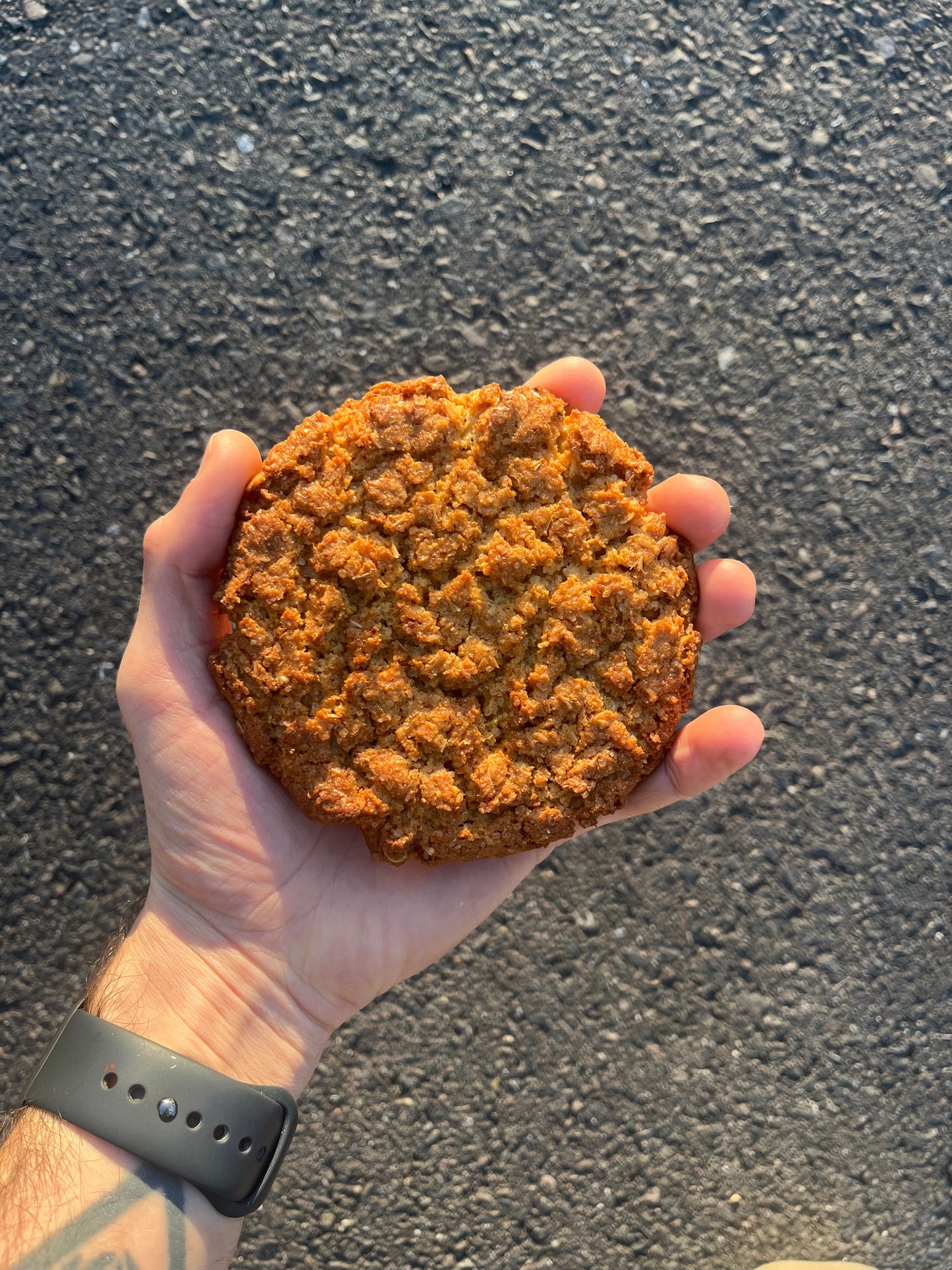 Malted-Barley & Oat Cookie